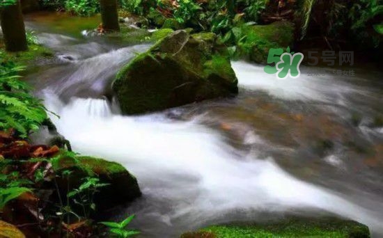 漂流需要準備什么東西？漂流哪里最好玩？