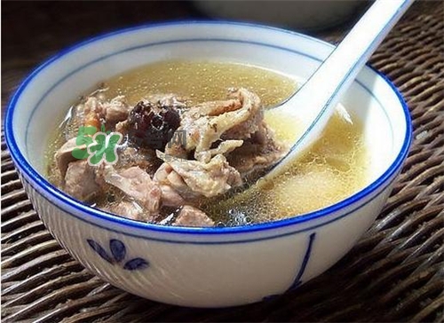 三伏天能吃鴿子嗎？三伏天能喝鴿子湯嗎？