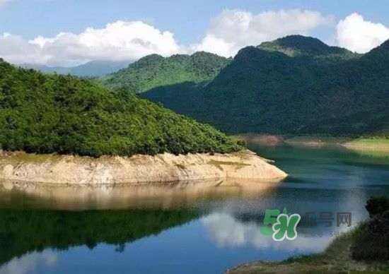 漂流需要準備什么東西？漂流哪里最好玩？