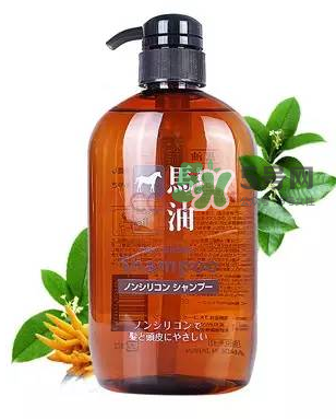 熊野馬油洗發(fā)水起頭屑嗎？KUMANO洗發(fā)水用完長(zhǎng)頭屑嗎？