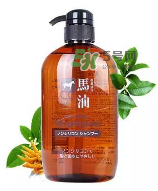 熊野馬油洗發(fā)水起頭屑嗎？KUMANO洗發(fā)水用完長(zhǎng)頭屑嗎？