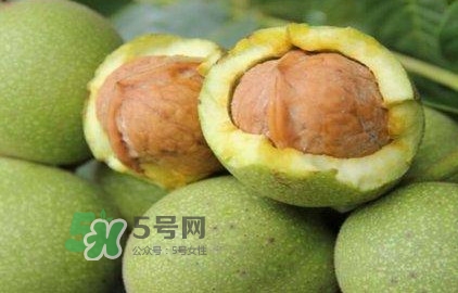 一斤青皮核桃退皮后剩多少？青皮核桃和普通核桃的區(qū)別