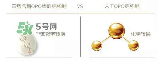 奶粉里面的OPO是什么？opo是天然的還是后期添加的？