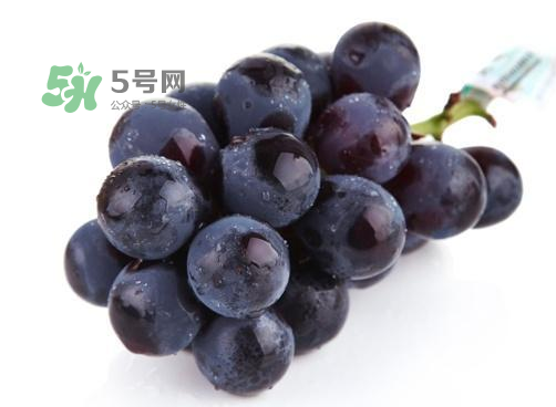 巨峰葡萄是酸性還是堿性？巨峰葡萄是堿性的嗎？