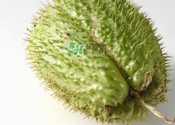 刺果番荔枝多少錢一斤？刺果番荔枝哪里有賣？