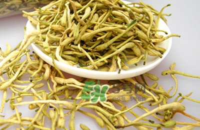 金銀花茶是去火的嗎？金銀花茶有什么功效與作用