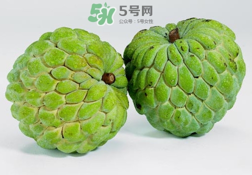 刺果番荔枝怎么吃？釋迦和刺果番荔枝區(qū)別