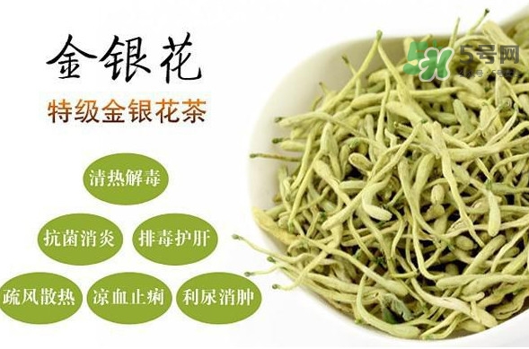 金銀花茶是去火的嗎？金銀花茶有什么功效與作用