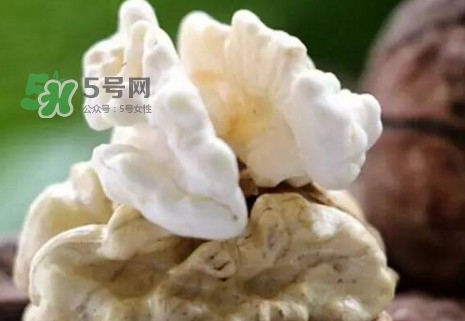 青皮核桃?guī)捉锍鲆唤锔珊颂?？青皮核桃什么時(shí)候成熟