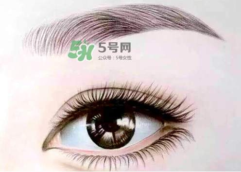 三伏天能紋眉嗎？三伏天紋眉毛好嗎？