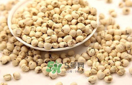 川貝母是苦的嗎？川貝母是涼性的嗎