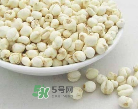 川貝母是川貝嗎？川貝母是酸性還是堿性？