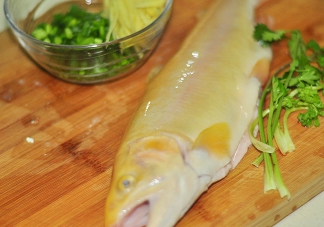 金鱒魚(yú)清蒸為什么變黑？食用金鱒魚(yú)有什么好處