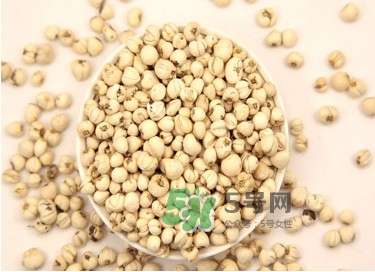 川貝母是苦的嗎？川貝母是涼性的嗎