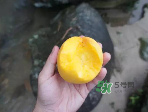 炎陵黃桃什么時候成熟？炎陵黃桃好吃嗎？