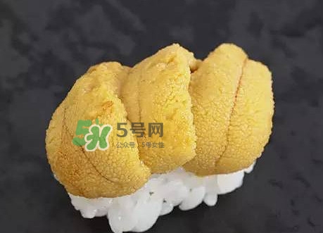 海膽怎么處理？海膽可以生吃嗎？