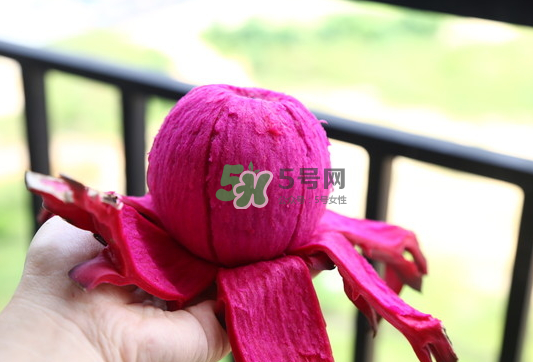紅心火龍果能天天吃嗎？每天吃一個紅心火龍果好嗎？