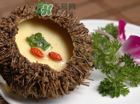 海膽死了還能吃嗎？海膽不能跟什么一起吃