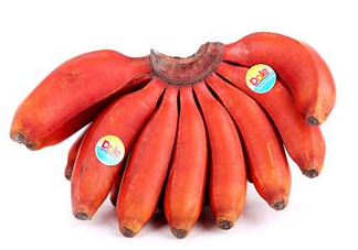 紅香蕉是哪里的特產(chǎn)？紅香蕉什么時候成熟？