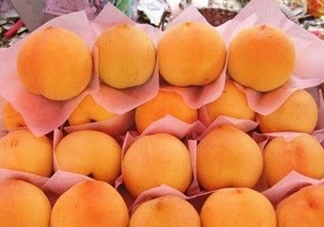 錦繡黃桃什么時候成熟？錦繡黃桃?guī)自鲁墒欤?><p><strong>錦繡黃桃什么時候成熟？錦繡黃桃?guī)自鲁墒欤?/strong></p></a></li> <li><a href=