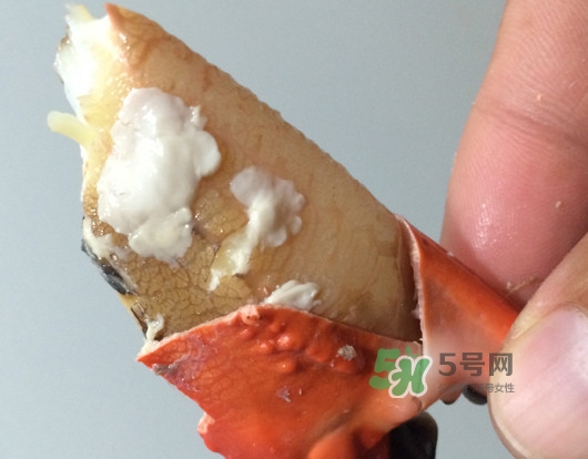 赤甲紅有母蟹嗎？赤甲紅為什么沒(méi)有母蟹？