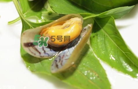 薄殼怎么讀？薄殼怎么洗干凈