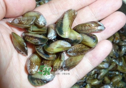 薄殼米是什么？薄殼怎么炒好吃？