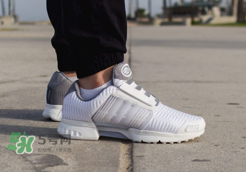 adidas climacool los angeles洛杉磯別注款怎么買_在哪買？