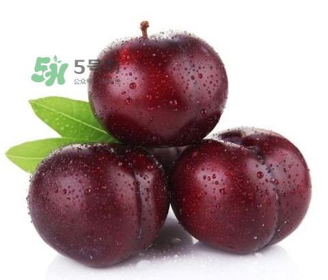 黑布林可以泡酒嗎？黑布林怎么吃？