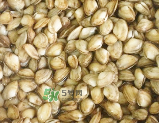 海瓜子怎么做好吃？海瓜子怎么清洗