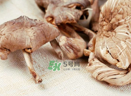 雞樅菌怎么讀？雞樅菌怎么做好吃？