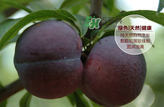 黑布林什么時候吃最好？黑布林什么人不能吃？