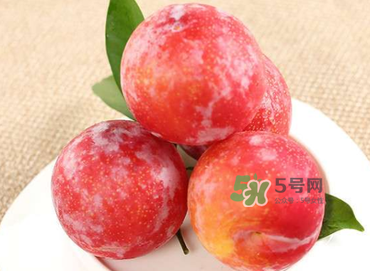 紅布林孕婦可以吃嗎？孕婦可以吃紅布林嗎？