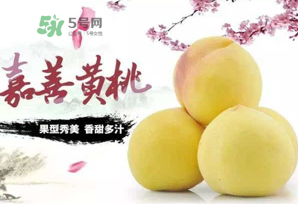 嘉善黃桃多少錢一斤？嘉善黃桃的上市時(shí)間