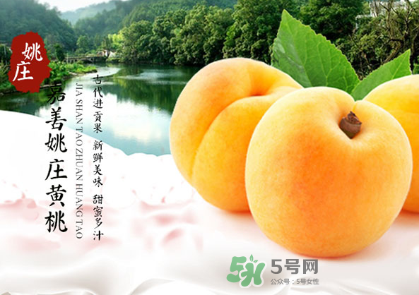 嘉善黃桃多少錢一斤？嘉善黃桃的上市時(shí)間
