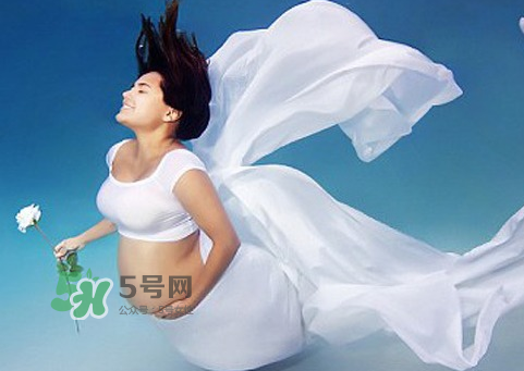 家里有寵物狗對(duì)孕婦好嗎？懷孕了家里有寵物要緊嗎？