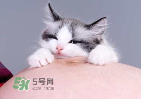 孕婦被貓抓了怎么辦？孕婦被貓抓傷了對(duì)寶寶有什么影響？