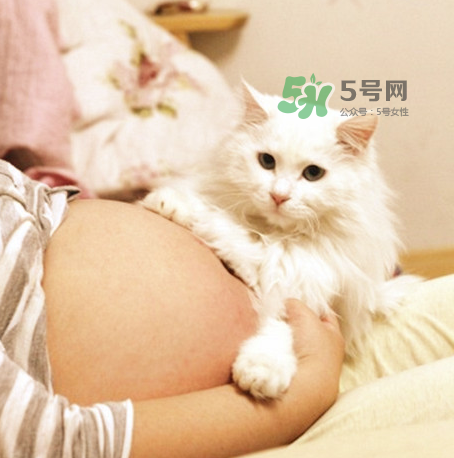 孕婦被貓抓了怎么辦？孕婦被貓抓傷了對(duì)寶寶有什么影響？