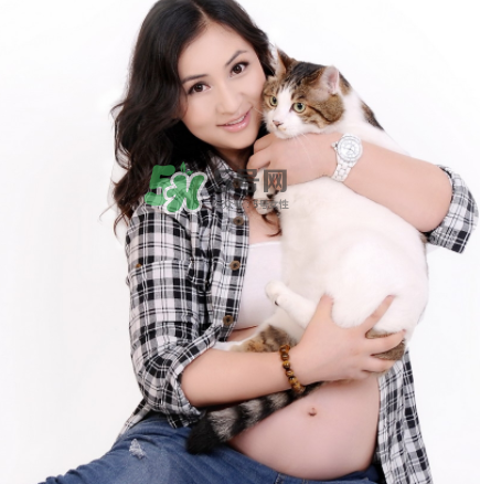 孕婦被貓抓了怎么辦？孕婦被貓抓傷了對(duì)寶寶有什么影響？