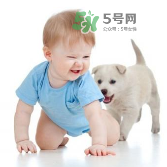 寵物對嬰兒的影響 寵物對嬰兒的危害有哪些？