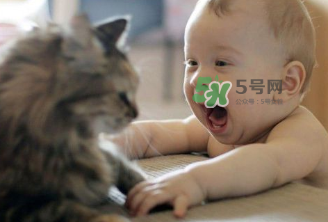 嬰兒被貓抓了怎么辦？嬰兒被貓咪咬了怎么辦？