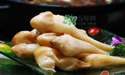 雞樅菌什么時候有？雞樅菌生長在什么地方