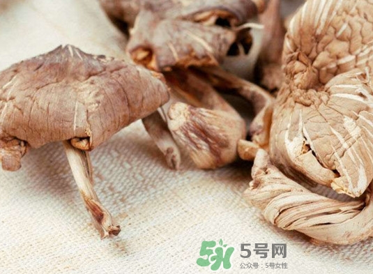 雞樅菌有毒嗎？雞樅菌不能和什么一起吃？