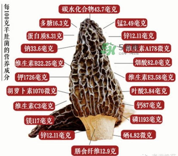 野生羊肚菌多少錢(qián)一斤？干羊肚菌多少錢(qián)一斤