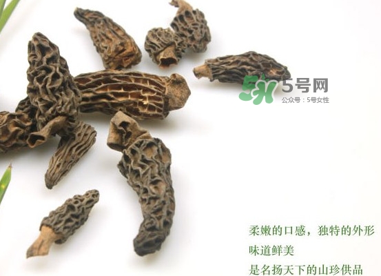 野生羊肚菌多少錢(qián)一斤？干羊肚菌多少錢(qián)一斤