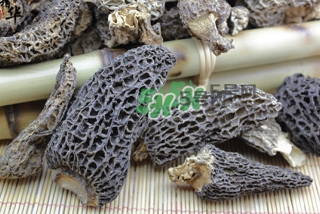 羊肚菌最大產(chǎn)地是哪兒？羊肚菌怎么泡發(fā)