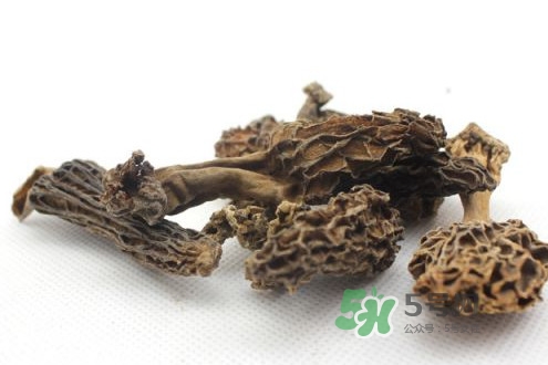 羊肚菌能治什么??？羊肚菌能冷凍保鮮嗎
