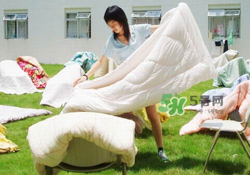 三伏天能曬被子嗎？三伏天曬被子好嗎？