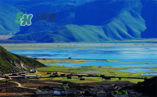 夏天去哪里旅游最好？夏天旅游哪里涼快？