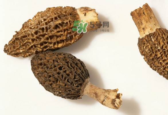 羊肚菌可以泡茶喝嗎？羊肚菌可以生吃嗎